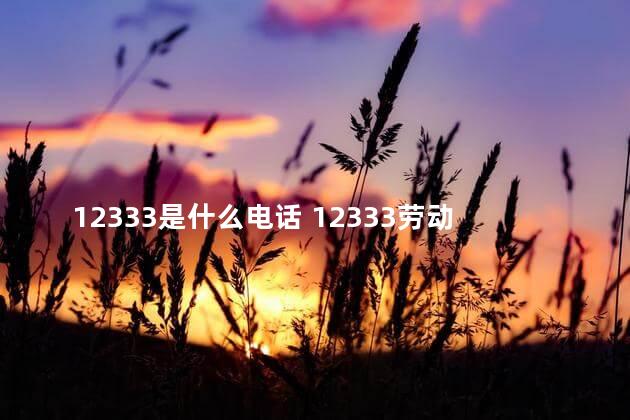 12333是什么电话 12333劳动仲裁管用吗